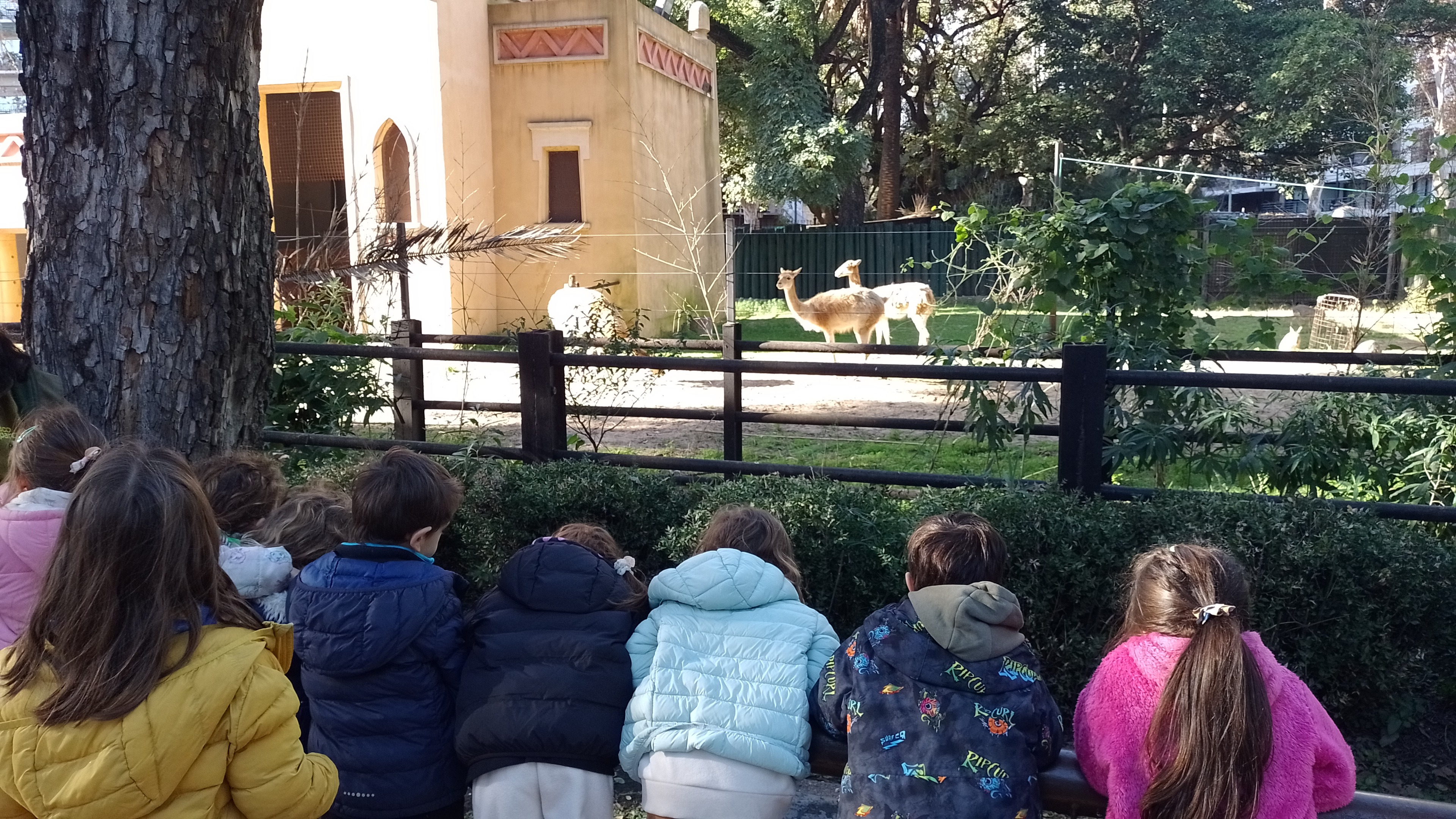 Visita al Ecoparque