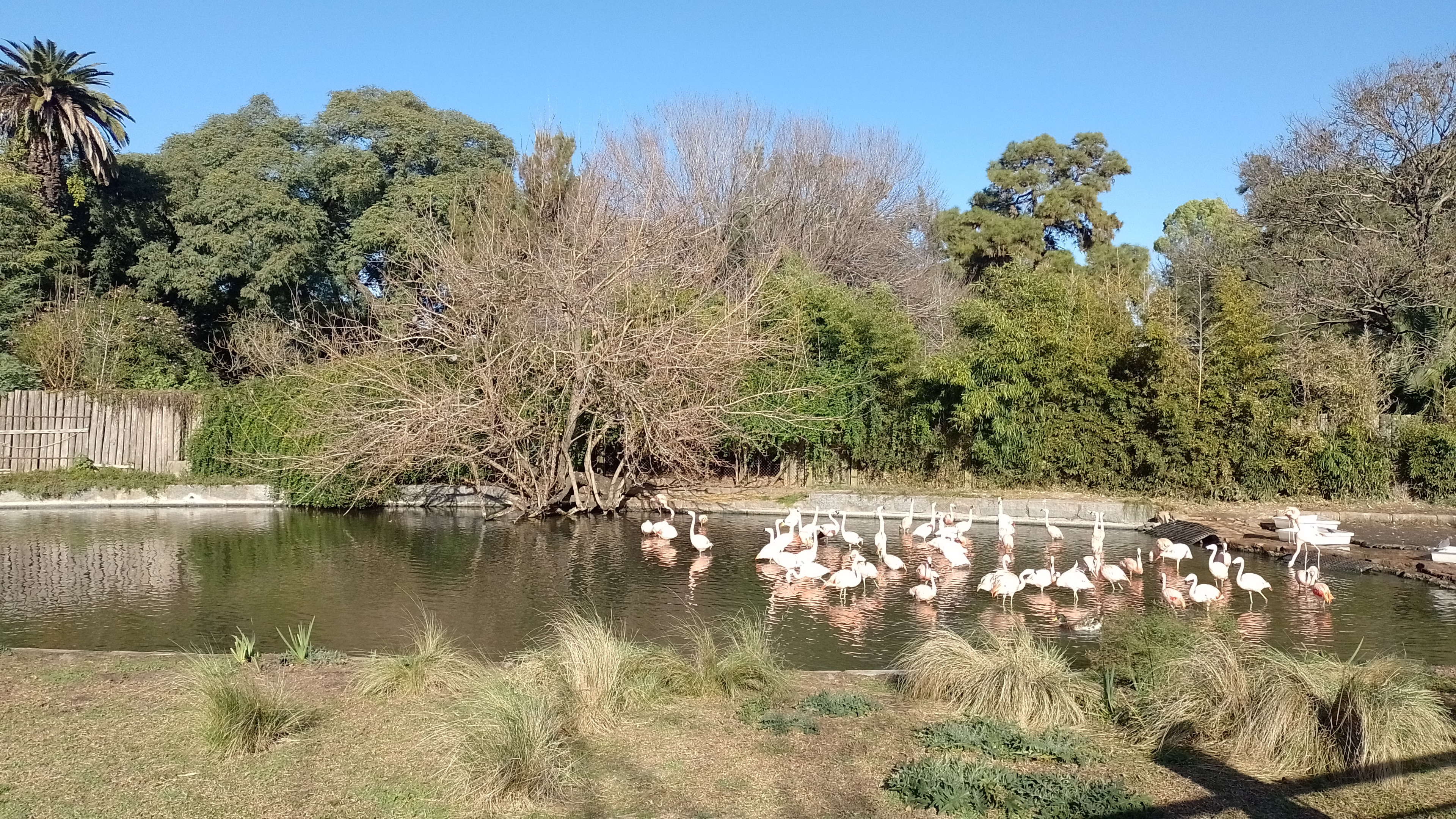 Visita al Ecoparque