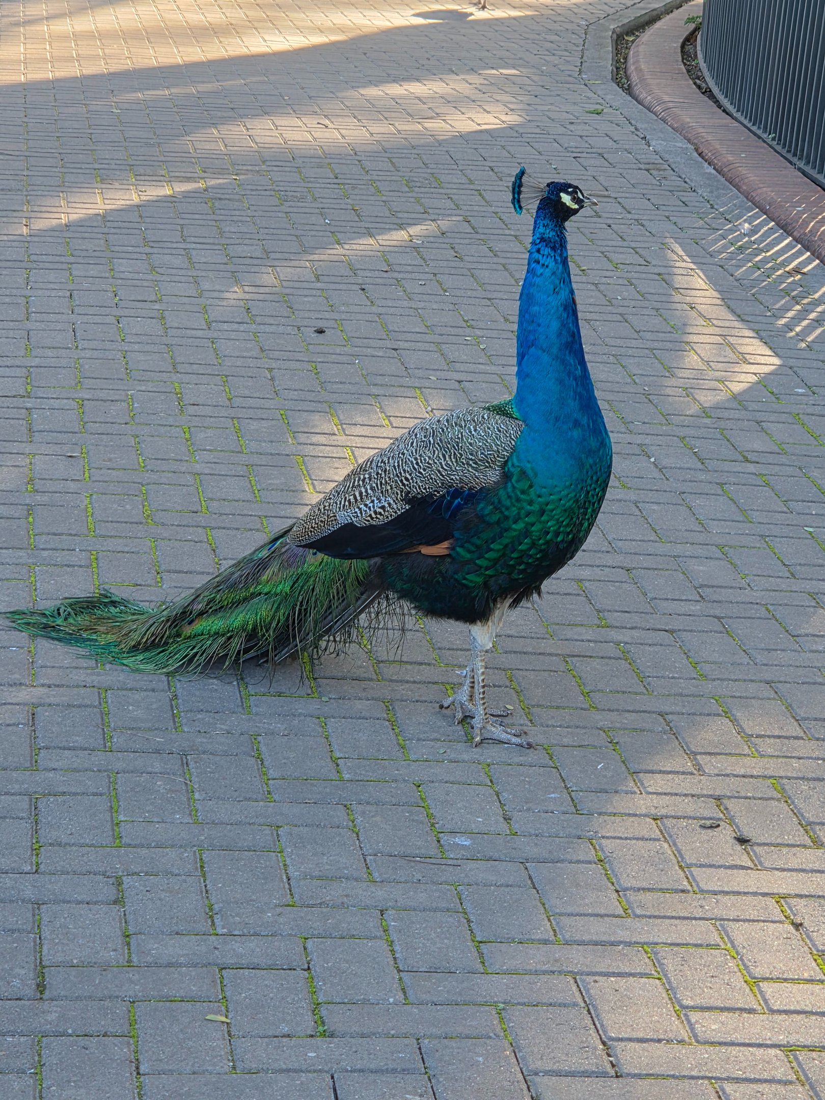 Visita al Ecoparque