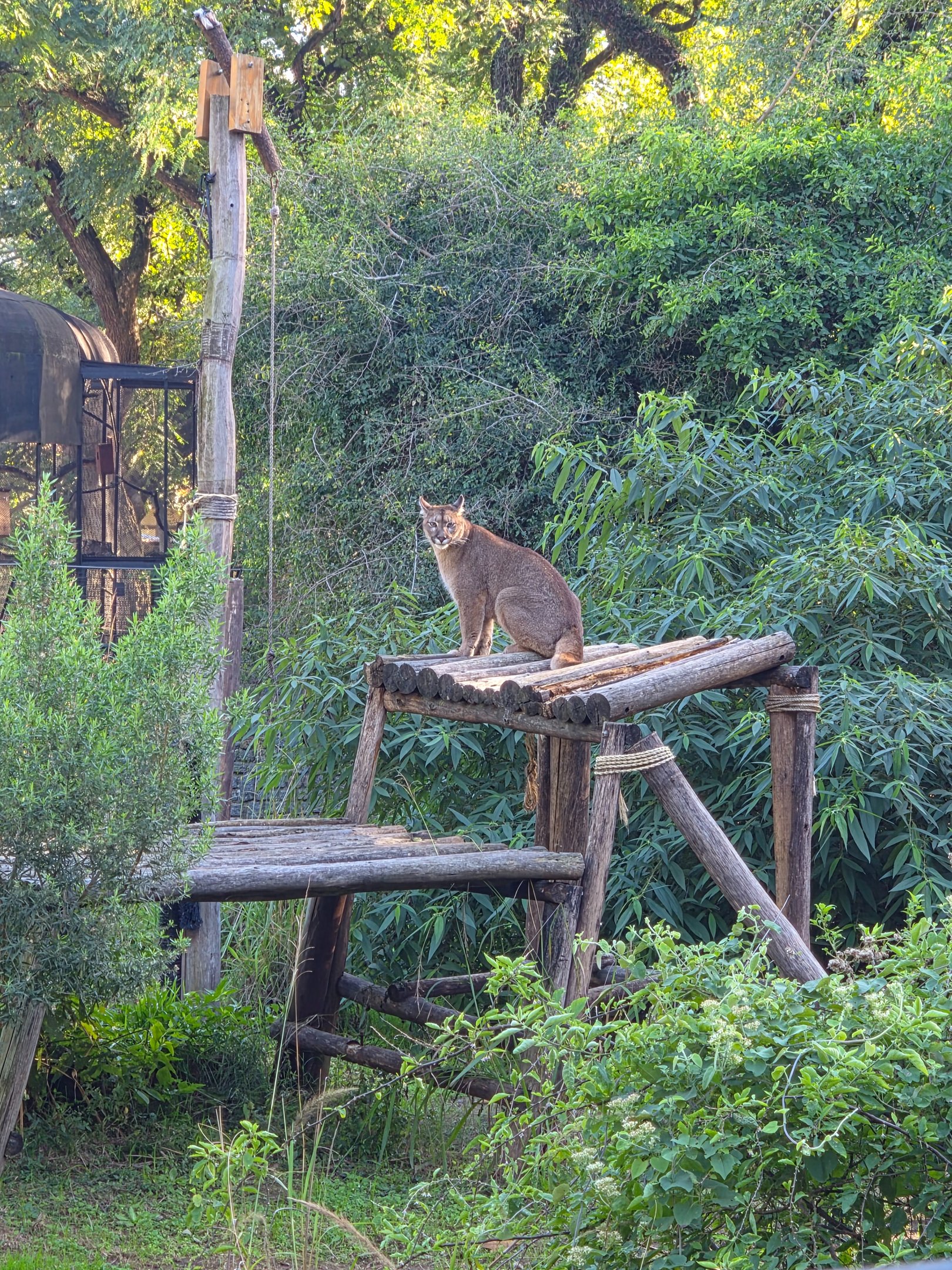 Visita al Ecoparque