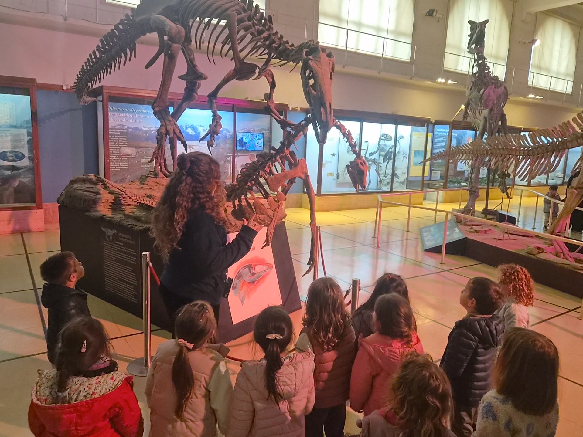 Museo de Ciencias Naturales